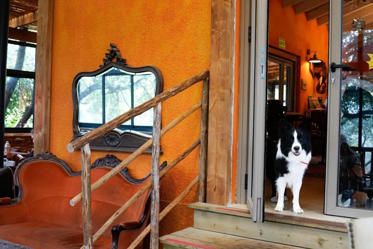 Parod Country Lodge Екстериор снимка